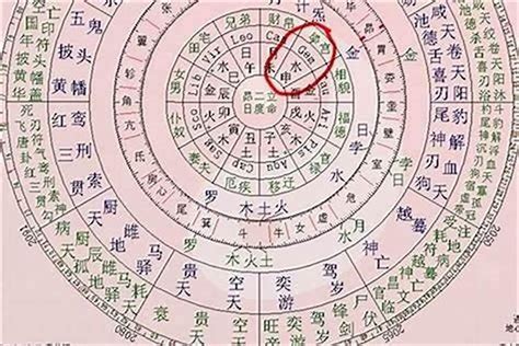 龍德星八字|生辰八字龙德星 (八字里龙德是什么意思)